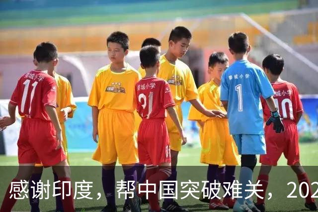 感谢印度，帮中国突破难关，2026年成为中国工业全面崛起里程碑