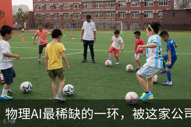 物理AI最稀缺的一环，被这家公司押中