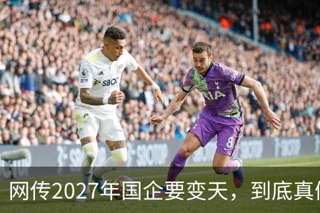 网传2027年国企要变天，到底真假？评论区炸锅...