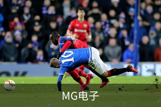 MG电子公司介绍展示图